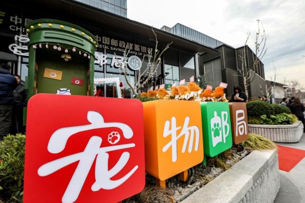 全国首家宠物主题邮局亮相上海，构建文明养宠服务新生态