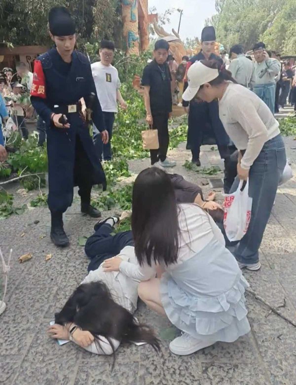 开封万岁山树干断落砸伤三名游客，景区客服：已有人员对接，目前景区正常开放，伤情有待官方通报