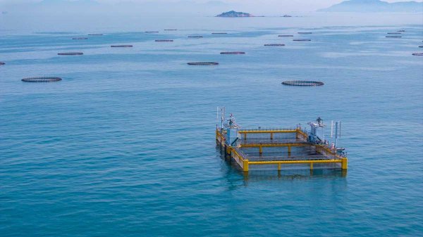 辽宁：加快培育发展海洋科技领军企业和涉海专精特新中小企业
