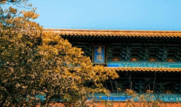 明朝有148个朝贡国? 看似万国来朝, 实则被组团薅羊毛