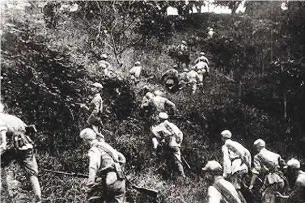 1950年八面山剿匪, 一发误落己方的炮弹和一个团长失控的电话