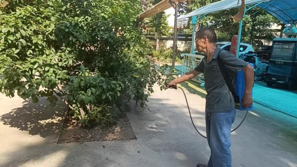 济阳街道南门社区夏季蚊虫专项消杀工作