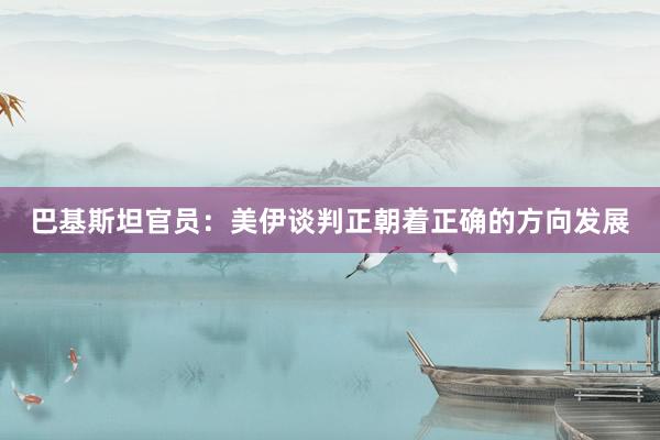 巴基斯坦官员：美伊谈判正朝着正确的方向发展