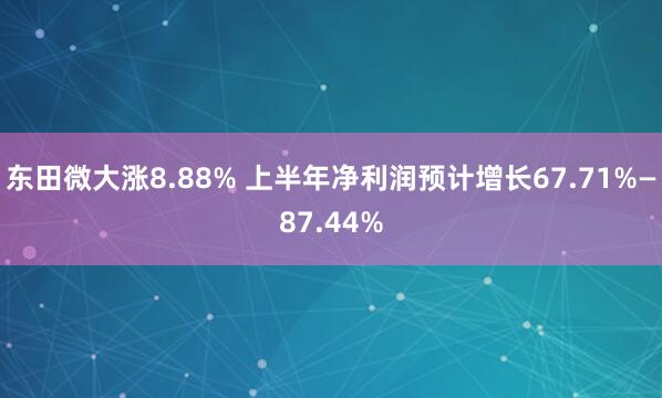 东田微大涨8.88% 上半年净利润预计增长67.71%—87.44%
