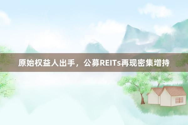 原始权益人出手，公募REITs再现密集增持