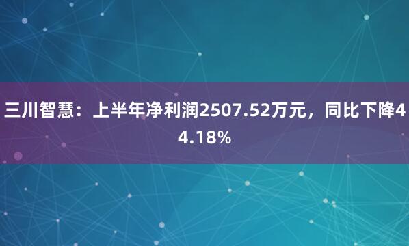 三川智慧：上半年净利润2507.52万元，同比下降44.18%