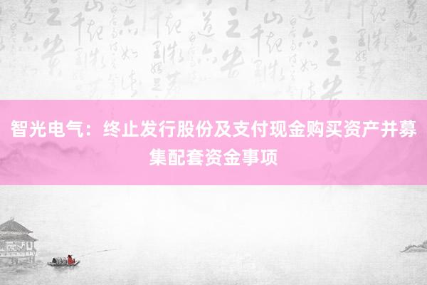 智光电气：终止发行股份及支付现金购买资产并募集配套资金事项