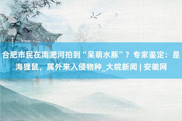 合肥市民在南淝河拍到“呆萌水豚”？专家鉴定：是海狸鼠，属外来入侵物种_大皖新闻 | 安徽网