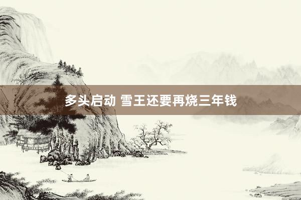 多头启动 雪王还要再烧三年钱