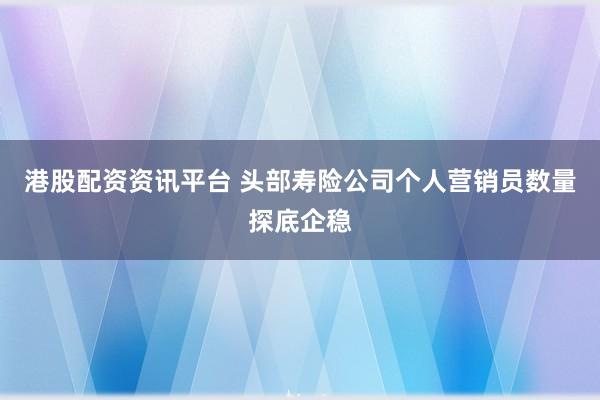 港股配资资讯平台 头部寿险公司个人营销员数量探底企稳