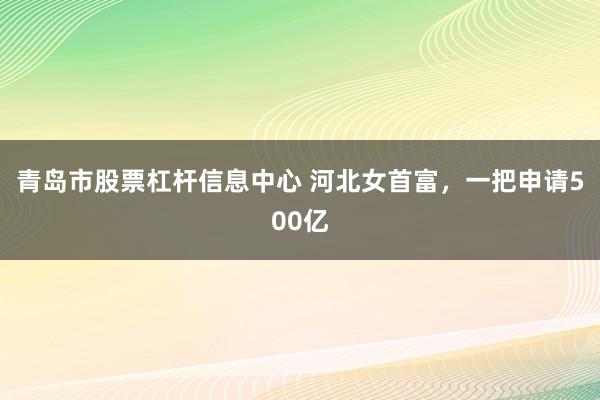 青岛市股票杠杆信息中心 河北女首富，一把申请500亿