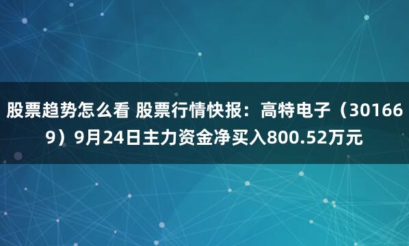 股票趋势怎么看 股票行情快报：高特电子（301669）9月24日主力资金净买入800.52万元