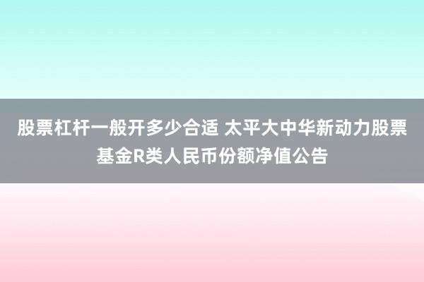股票杠杆一般开多少合适 太平大中华新动力股票基金R类人民币份额净值公告