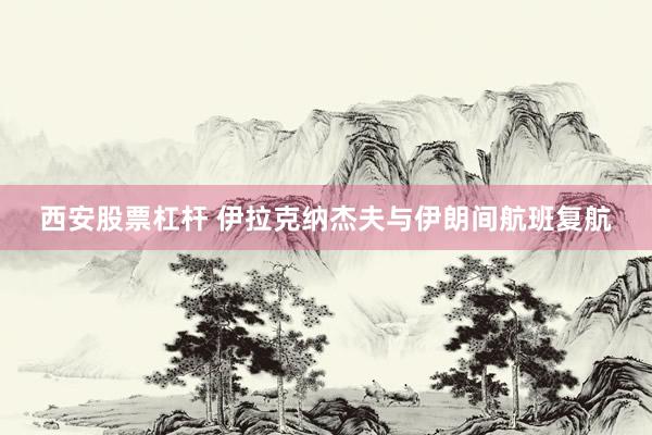 西安股票杠杆 伊拉克纳杰夫与伊朗间航班复航