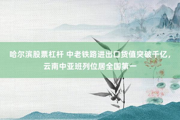 哈尔滨股票杠杆 中老铁路进出口货值突破千亿,云南中亚班列位居全国第一